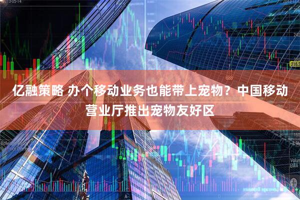 亿融策略 办个移动业务也能带上宠物？中国移动营业厅推出宠物友好区
