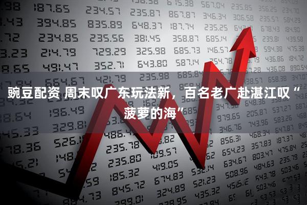 豌豆配资 周末叹广东玩法新，百名老广赴湛江叹“菠萝的海”